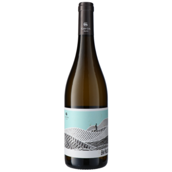 Domaine Gayda En Passant Blanc