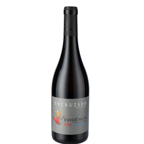 Evidencia Branco Reserva Encruzado
